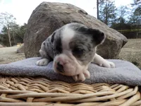 processed/f7806251-628b-4a2b-89ce-d357ed42c99f/listing/418a8634-bf1c-4870-acca-5766ef4646bd/46a74ba8-f114-4455-932b-c4bf9609886b