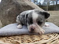 processed/f7806251-628b-4a2b-89ce-d357ed42c99f/listing/418a8634-bf1c-4870-acca-5766ef4646bd/5c00502e-6f57-4e65-b10e-5ea67223dead