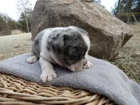 processed/f7806251-628b-4a2b-89ce-d357ed42c99f/listing/418a8634-bf1c-4870-acca-5766ef4646bd/7d9aec02-c429-4d76-9372-689cff932b71