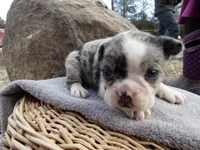 processed/f7806251-628b-4a2b-89ce-d357ed42c99f/listing/418a8634-bf1c-4870-acca-5766ef4646bd/f06721c9-ae01-4df0-a03d-0a4743337b2e