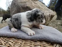 processed/f7806251-628b-4a2b-89ce-d357ed42c99f/listing/418a8634-bf1c-4870-acca-5766ef4646bd/fd210bb0-7d7f-400d-abc8-135865f9d599