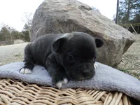 processed/f7806251-628b-4a2b-89ce-d357ed42c99f/listing/41aaa118-195b-4dd6-9c58-ddb2aa2c19e6/3191764d-5cbc-4e44-8d20-b5719fb5ab9e