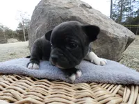 processed/f7806251-628b-4a2b-89ce-d357ed42c99f/listing/41aaa118-195b-4dd6-9c58-ddb2aa2c19e6/441ee230-dec2-46c1-8059-fce6a2ca3026