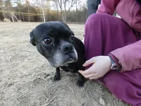 processed/f7806251-628b-4a2b-89ce-d357ed42c99f/listing/41aaa118-195b-4dd6-9c58-ddb2aa2c19e6/658574d8-c13a-4933-ba28-b892cc3fe847