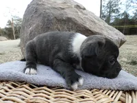 processed/f7806251-628b-4a2b-89ce-d357ed42c99f/listing/41aaa118-195b-4dd6-9c58-ddb2aa2c19e6/7394dc67-0b0e-411d-89a6-ab3c6e7cb118