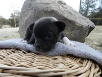 processed/f7806251-628b-4a2b-89ce-d357ed42c99f/listing/41aaa118-195b-4dd6-9c58-ddb2aa2c19e6/7b7cc5ae-0b25-46de-ab62-36f90507c62d