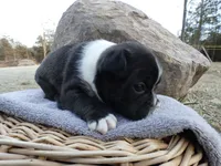 processed/f7806251-628b-4a2b-89ce-d357ed42c99f/listing/56648c54-4fa0-4a5a-9259-c4b164b60750/0d247d4b-c667-4ef2-8411-5ae015d5e860