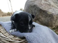 processed/f7806251-628b-4a2b-89ce-d357ed42c99f/listing/56648c54-4fa0-4a5a-9259-c4b164b60750/779b2fd1-94b0-4f67-9ebd-c8518bc5064b