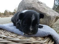 processed/f7806251-628b-4a2b-89ce-d357ed42c99f/listing/56648c54-4fa0-4a5a-9259-c4b164b60750/95e86028-d44d-46ae-a917-24c7fa538183