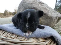 processed/f7806251-628b-4a2b-89ce-d357ed42c99f/listing/56648c54-4fa0-4a5a-9259-c4b164b60750/d9a24589-ba42-491b-8c1b-4f39bb248d89