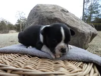 processed/f7806251-628b-4a2b-89ce-d357ed42c99f/listing/917d11e7-a8db-4ae9-8094-807311908f5b/1695239d-8081-451e-bb26-68539fe84f0c