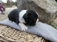 processed/f7806251-628b-4a2b-89ce-d357ed42c99f/listing/917d11e7-a8db-4ae9-8094-807311908f5b/5b289cdc-9993-49de-9373-5934ed8243f2