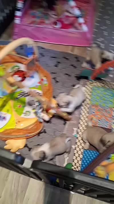Facility video