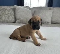 processed/f78a606b-b50b-4f14-be53-1b4eea1dd971/listing/c9e5d1c2-38f7-474a-9def-53db321430ad/642bbb7c-b284-4376-aaf4-908a112ca129