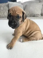 processed/f78a606b-b50b-4f14-be53-1b4eea1dd971/listing/c9e5d1c2-38f7-474a-9def-53db321430ad/8e1cdd90-fd98-4fa8-811e-b248965ebc74