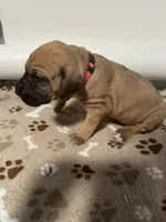 processed/f78a606b-b50b-4f14-be53-1b4eea1dd971/listing/c9e5d1c2-38f7-474a-9def-53db321430ad/96eec821-b9fa-4c09-9404-997bc532956f