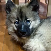 processed/f78c4054-9674-411b-a848-9c44cd3f49ab/facility/27b27e16-149d-49a8-be62-99c543ad311f