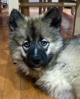 processed/f78c4054-9674-411b-a848-9c44cd3f49ab/facility/27b27e16-149d-49a8-be62-99c543ad311f