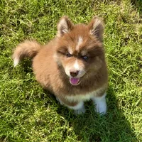 processed/f78c4054-9674-411b-a848-9c44cd3f49ab/facility/2900a6e1-82e2-4218-80a9-cbccb135260e