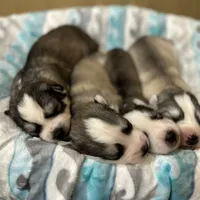 processed/f78c4054-9674-411b-a848-9c44cd3f49ab/facility/3901ee02-1854-470c-a21a-df2338e85b6b