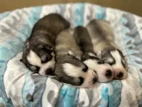 processed/f78c4054-9674-411b-a848-9c44cd3f49ab/facility/3901ee02-1854-470c-a21a-df2338e85b6b