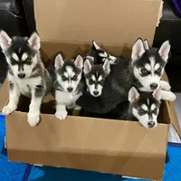 processed/f78c4054-9674-411b-a848-9c44cd3f49ab/facility/45bc4bab-f159-490a-918a-b7cbc8d0d902