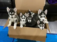 processed/f78c4054-9674-411b-a848-9c44cd3f49ab/facility/45bc4bab-f159-490a-918a-b7cbc8d0d902