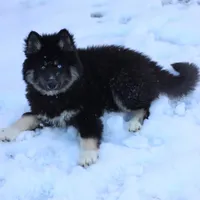 processed/f78c4054-9674-411b-a848-9c44cd3f49ab/facility/4ac9e99d-52d4-47d0-9622-a130c533bcc6