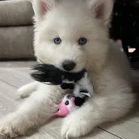 processed/f78c4054-9674-411b-a848-9c44cd3f49ab/facility/5a114da4-e36f-4c6a-86b5-64646ed3ddf7