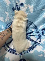 processed/f78c4054-9674-411b-a848-9c44cd3f49ab/listing/03eee4b4-bde3-4172-b77b-ee3b825cd593/3c3445ac-2fe2-4557-958f-da4c1efd3fde