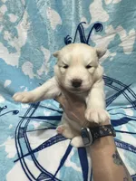 processed/f78c4054-9674-411b-a848-9c44cd3f49ab/listing/03eee4b4-bde3-4172-b77b-ee3b825cd593/851d262b-111b-494d-af4e-b31574699792