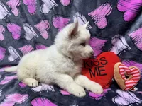 processed/f78c4054-9674-411b-a848-9c44cd3f49ab/listing/28b4c8e6-97d0-46ef-90e6-fe1a740c5531/3de629a0-7dcd-4d48-9b6e-5a891333fcfd