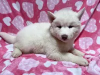 processed/f78c4054-9674-411b-a848-9c44cd3f49ab/listing/28b4c8e6-97d0-46ef-90e6-fe1a740c5531/57e6f599-686b-4eec-bee3-f337f10c110e