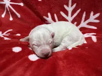 processed/f78c4054-9674-411b-a848-9c44cd3f49ab/listing/28b4c8e6-97d0-46ef-90e6-fe1a740c5531/72d3172b-399d-4c6b-9a20-aa0f8a7153fc