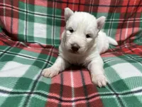 processed/f78c4054-9674-411b-a848-9c44cd3f49ab/listing/28b4c8e6-97d0-46ef-90e6-fe1a740c5531/d4a3c93c-3dbe-46fc-97cf-06415a7d3adf