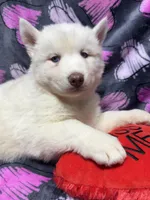 processed/f78c4054-9674-411b-a848-9c44cd3f49ab/listing/28b4c8e6-97d0-46ef-90e6-fe1a740c5531/fe34e5fd-201c-41ee-9c09-1573740d6a11