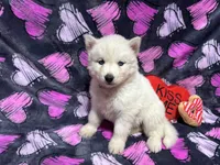 processed/f78c4054-9674-411b-a848-9c44cd3f49ab/listing/92157eb9-412c-461f-b02d-80a7455ced20/0f388235-b2d4-4b15-a45b-95eae4f113e2