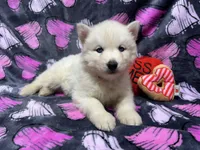 processed/f78c4054-9674-411b-a848-9c44cd3f49ab/listing/92157eb9-412c-461f-b02d-80a7455ced20/120f833c-d4ff-4992-bd11-85dc3b969e46