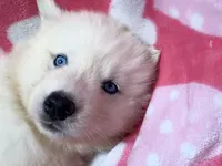 processed/f78c4054-9674-411b-a848-9c44cd3f49ab/listing/92157eb9-412c-461f-b02d-80a7455ced20/57e72ccc-f263-4332-944a-db40e73238a5