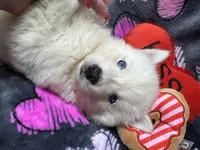 processed/f78c4054-9674-411b-a848-9c44cd3f49ab/listing/92157eb9-412c-461f-b02d-80a7455ced20/7ea9b986-0d48-4d7b-a288-7ca065779edd