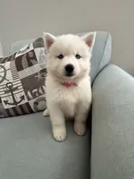 processed/f78c4054-9674-411b-a848-9c44cd3f49ab/listing/92157eb9-412c-461f-b02d-80a7455ced20/92eb04b6-9b76-43bd-be46-6d1bb088a8d2