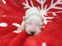 processed/f78c4054-9674-411b-a848-9c44cd3f49ab/listing/92157eb9-412c-461f-b02d-80a7455ced20/cf5be738-2480-4c99-8bed-0175acd812cc