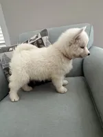 processed/f78c4054-9674-411b-a848-9c44cd3f49ab/listing/92157eb9-412c-461f-b02d-80a7455ced20/efd8eda4-8fa0-444a-bffb-ba397ac7cbe5