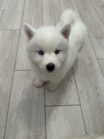 processed/f78c4054-9674-411b-a848-9c44cd3f49ab/listing/92157eb9-412c-461f-b02d-80a7455ced20/f9af7c87-fd3e-4a5f-8538-75bdaca02fa8