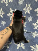 processed/f78c4054-9674-411b-a848-9c44cd3f49ab/listing/baaf25b2-f227-477c-b6f5-1bc728e237a0/299b5f18-9ec5-4ac9-b1d0-79a706dd8ec6