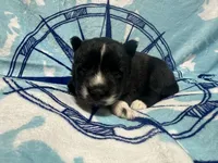 processed/f78c4054-9674-411b-a848-9c44cd3f49ab/listing/baaf25b2-f227-477c-b6f5-1bc728e237a0/64e80e93-7b0d-4cbe-84a2-468cbd628f0f