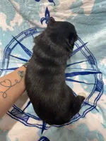 processed/f78c4054-9674-411b-a848-9c44cd3f49ab/listing/baaf25b2-f227-477c-b6f5-1bc728e237a0/b2f8cc0d-b8a7-4407-b58b-233a00432758