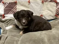 processed/f78cc50f-4bb1-4c83-b4ec-50b25f0751be/listing/1cfd90bb-42af-4b5d-a174-9794e6c357ae/4f6c6c57-310a-4e1b-8769-e1668f1c7ca0