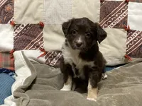 processed/f78cc50f-4bb1-4c83-b4ec-50b25f0751be/listing/1cfd90bb-42af-4b5d-a174-9794e6c357ae/b4c840e2-392b-41af-81e1-36ddd6f5ba94