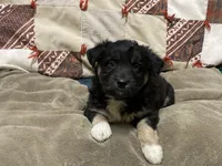 processed/f78cc50f-4bb1-4c83-b4ec-50b25f0751be/listing/cb86686b-3696-4065-a7d5-5b2058a74308/072fb683-cace-4fa0-bb91-073a3e1bf00e